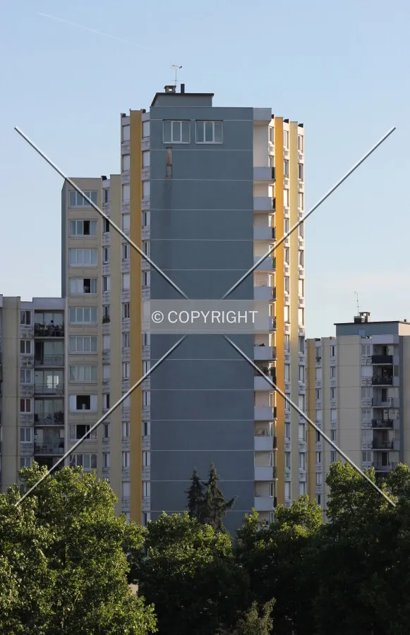 North view.