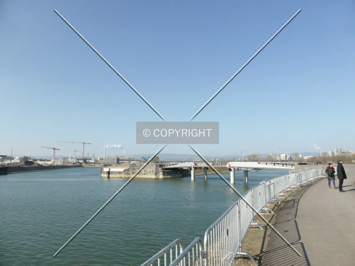 Photo 009-125-363