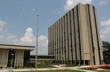 View from the west