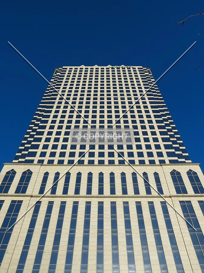 Looking up from the Tampa Riverwalk