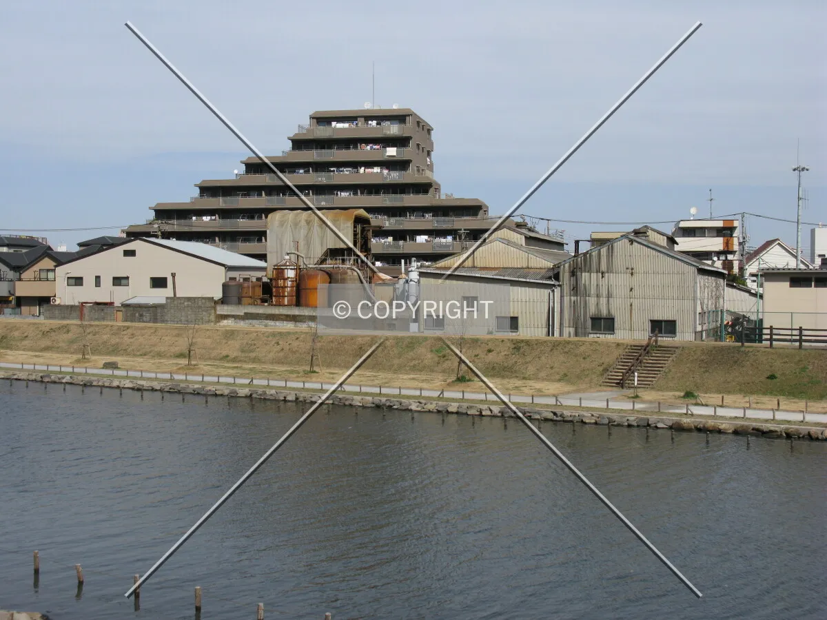 Photo 091-297-392
