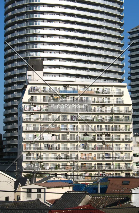 View from the east