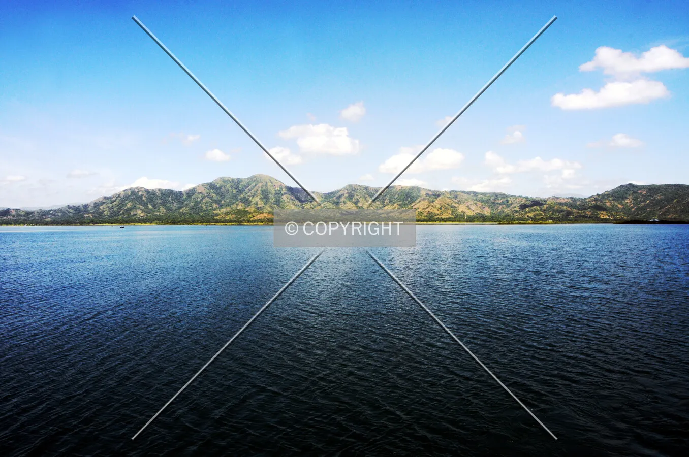 Photo 913-102-812