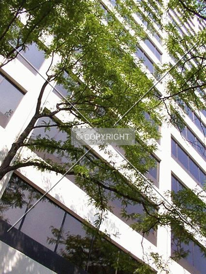 Looking up the facade from street level