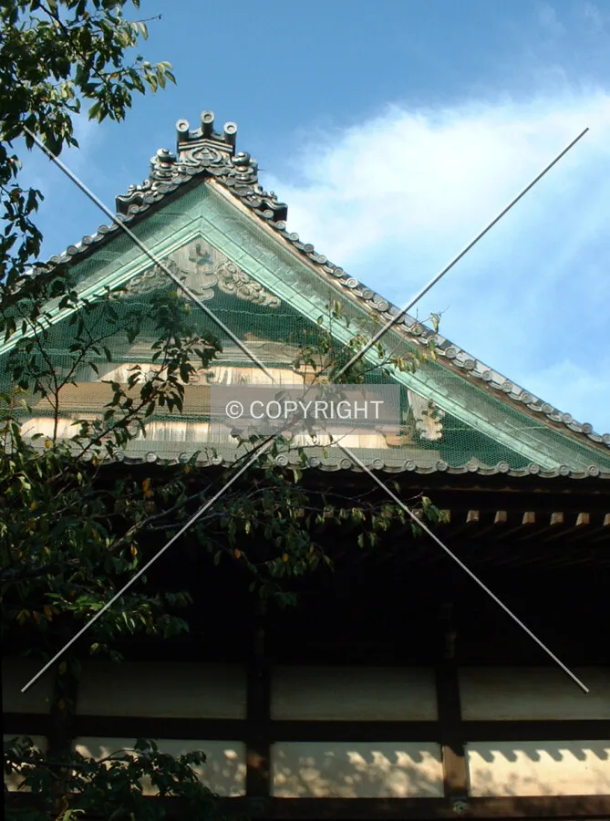 Roof detail