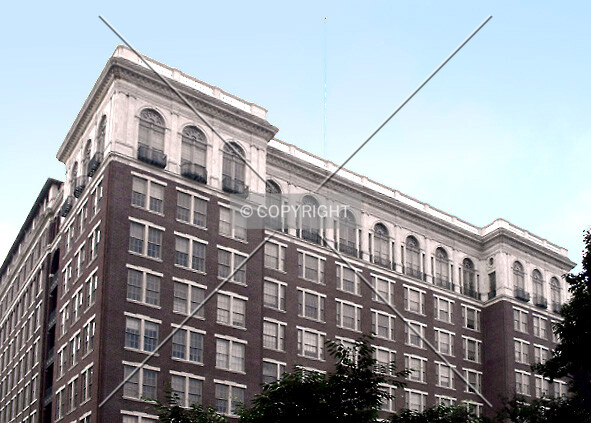 View from the southeast