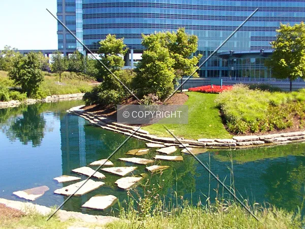 Steppingstones across the pond in the garden