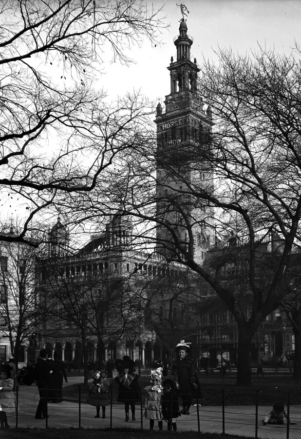 View from the southwest