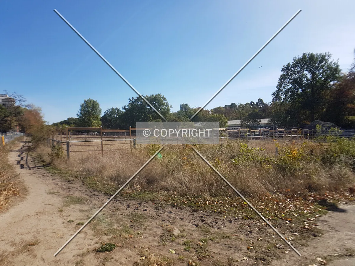 Paddocks for horses