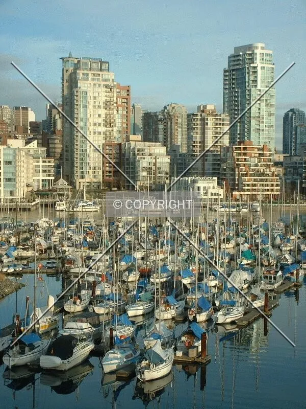 False Creek