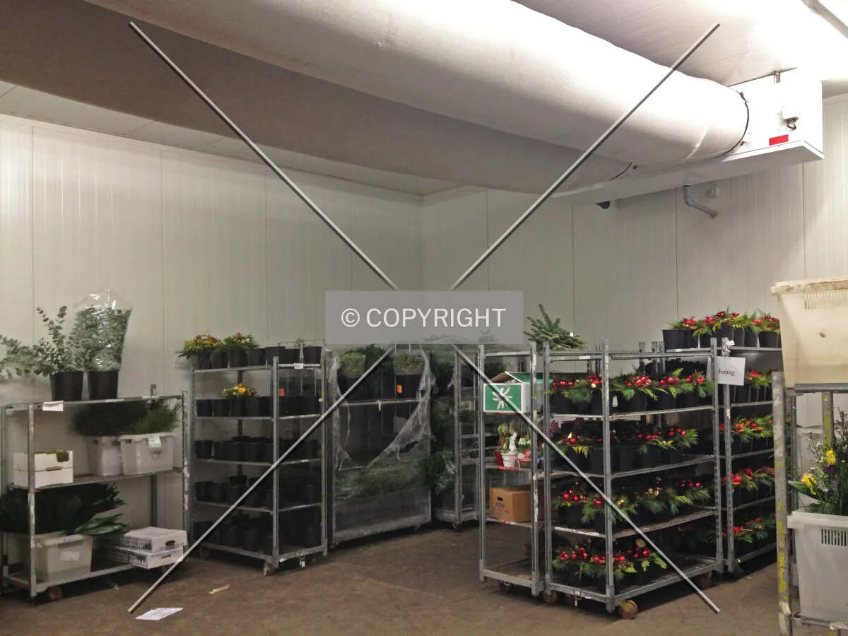 A cold storage warehouse holding flowers