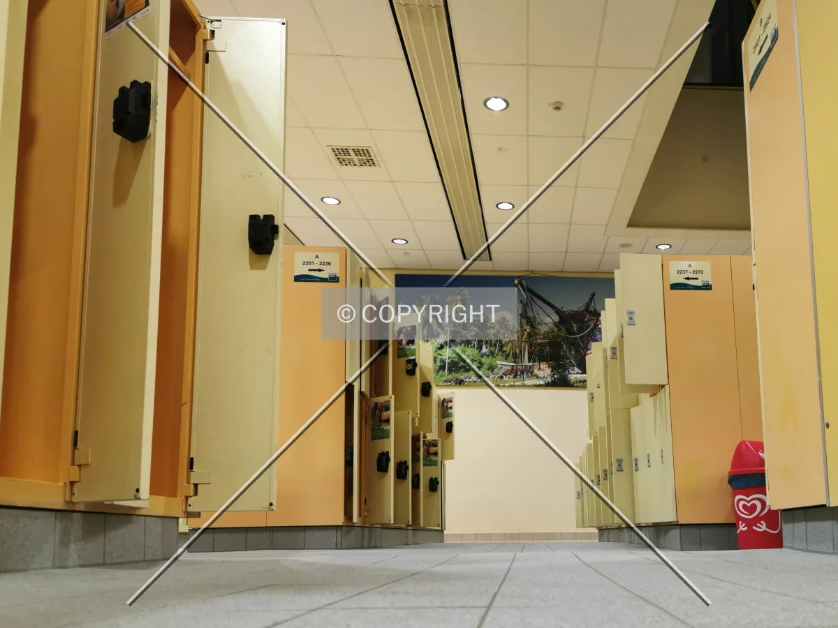 Photo 915-811-344