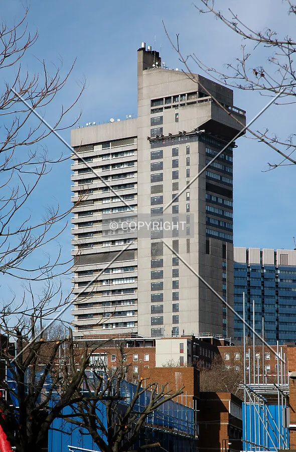 View from Long Lane