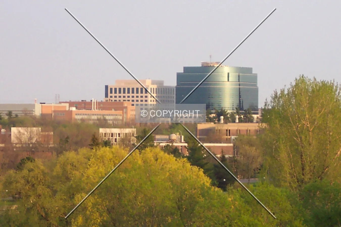 View from the Arboritum, facing south