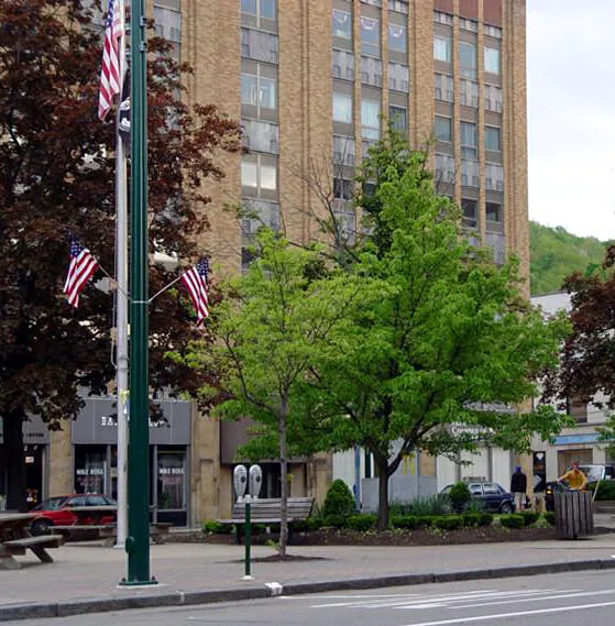 Photo 091-714-538