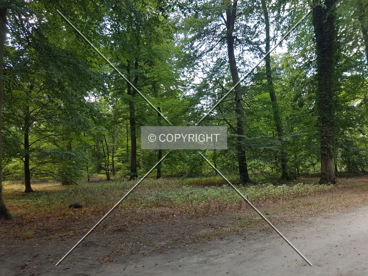 Schloß Wolfsgarten in 2018