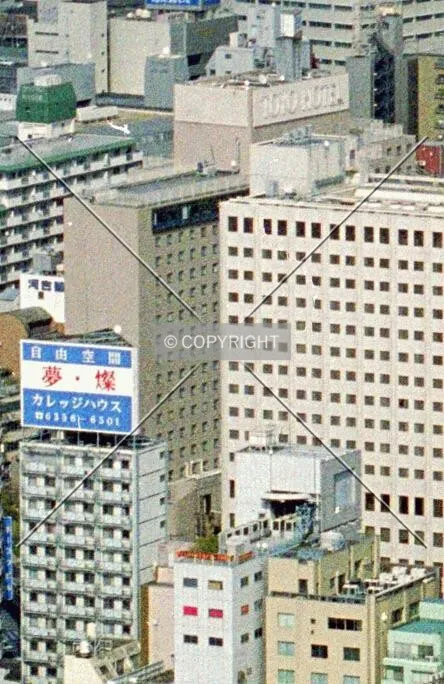 Partial view from the Umeda Sky Building observatory