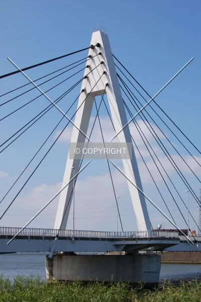Photo 009-178-447