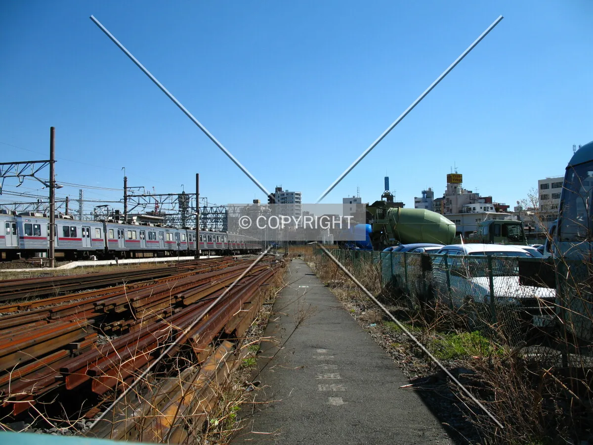Photo 917-980-968