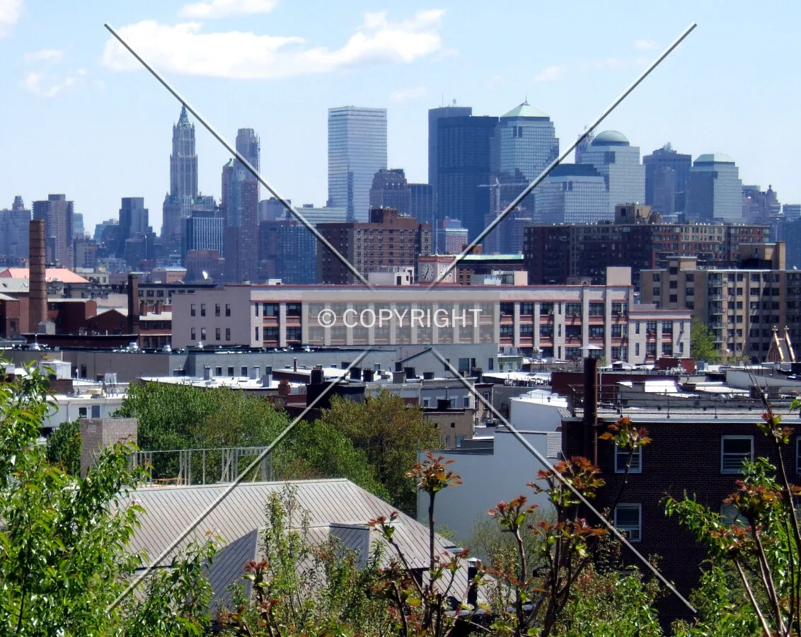 View from the northwest