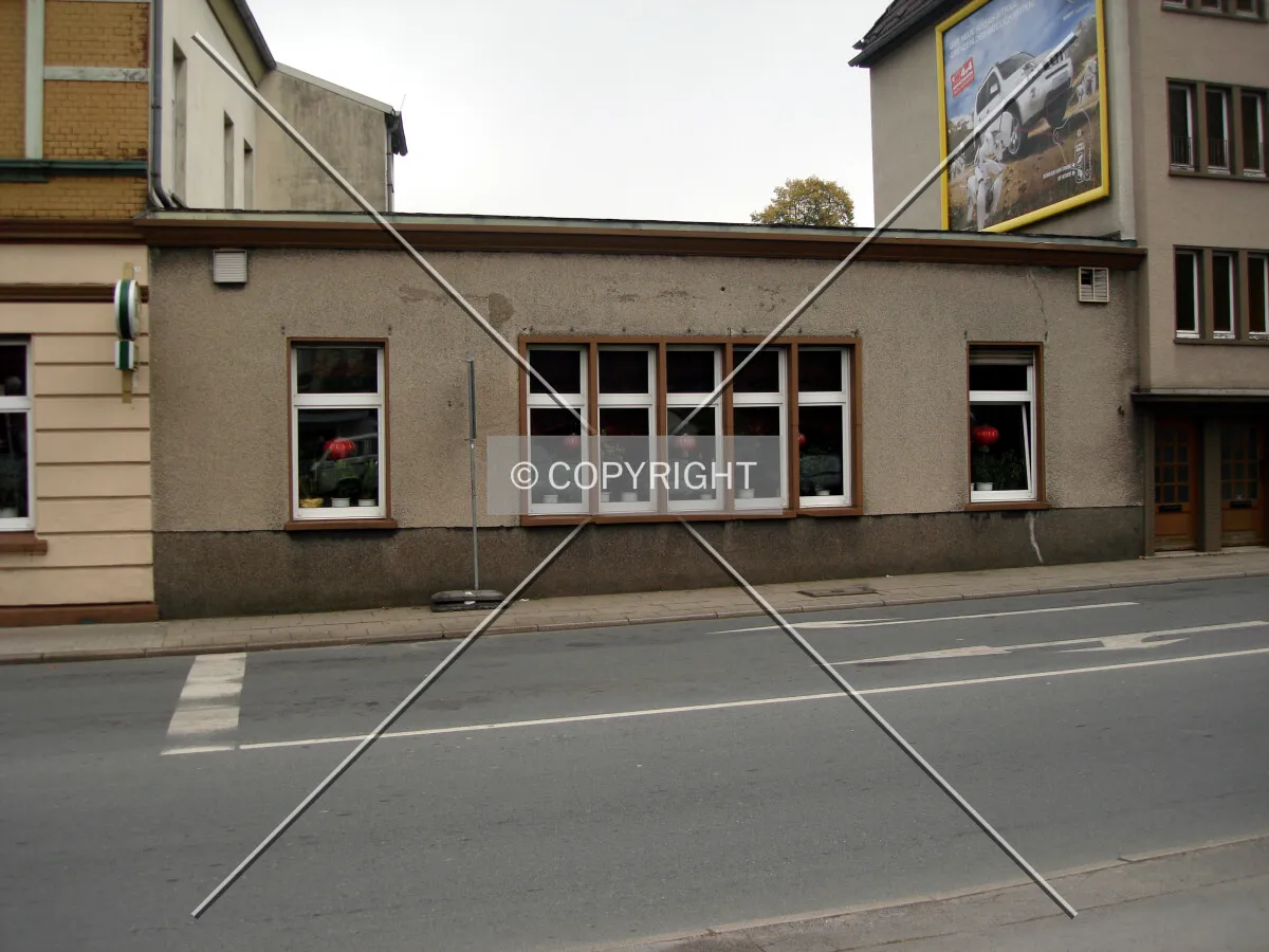 Photo 919-784-253