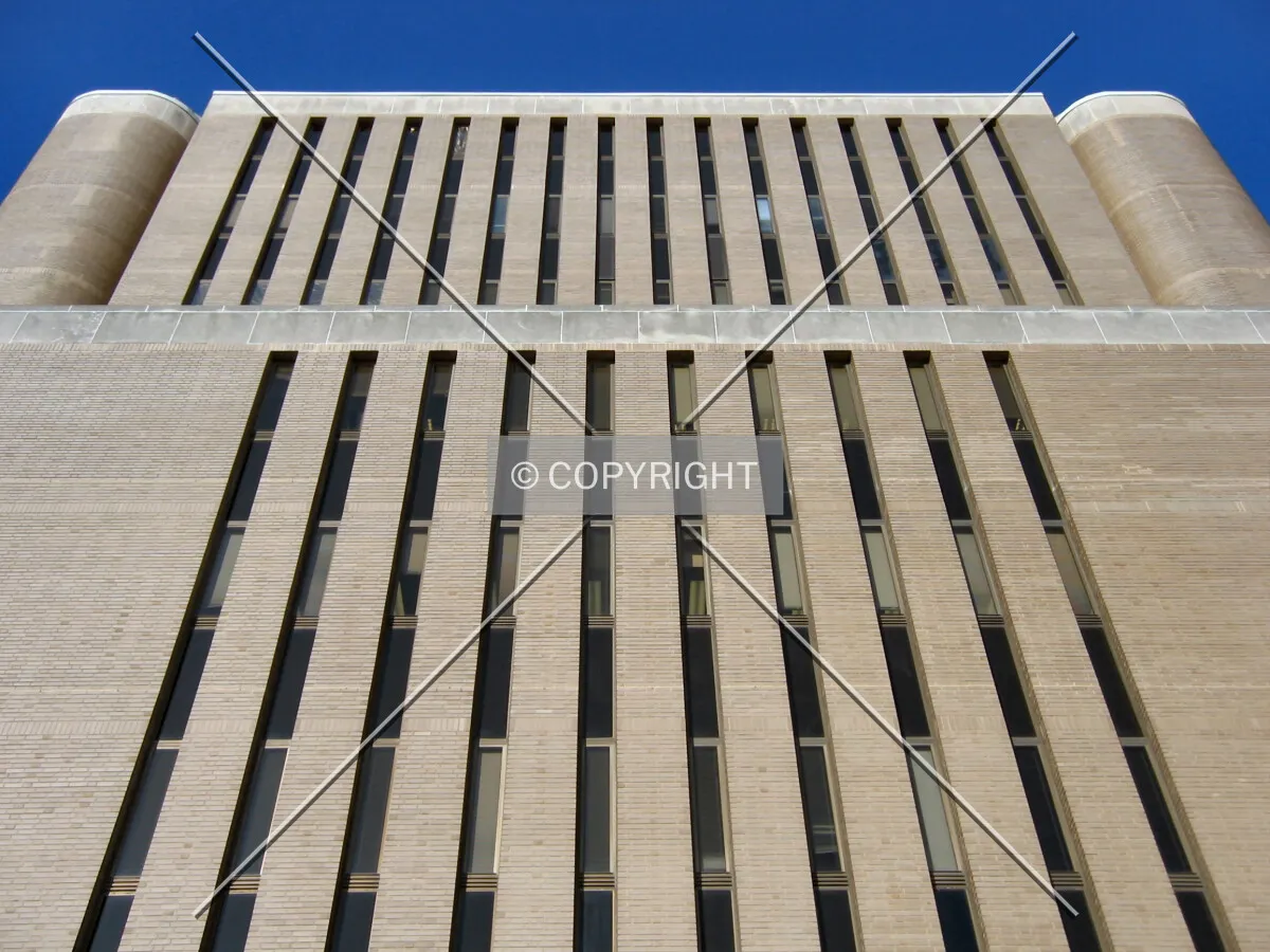 Looking up from McKinley Avenue