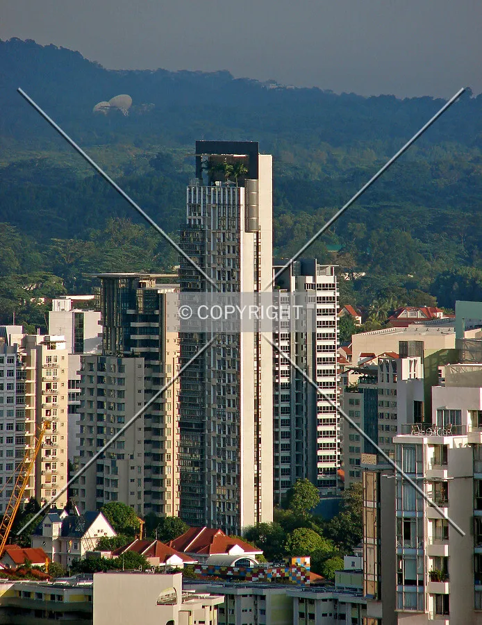 View from the east