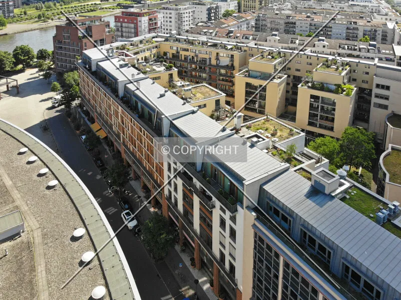 Photo 920-802-445