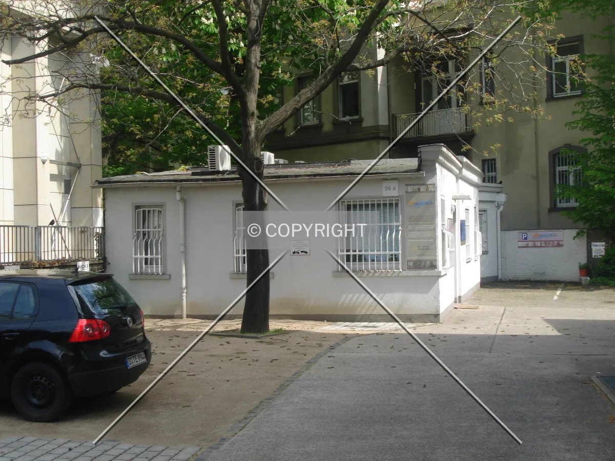 Photo 920-999-983
