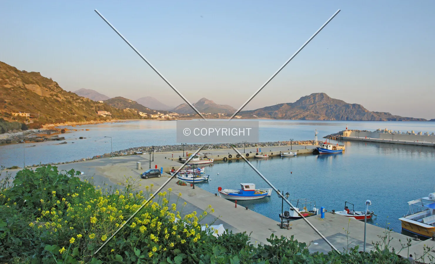 Photo 092-137-779
