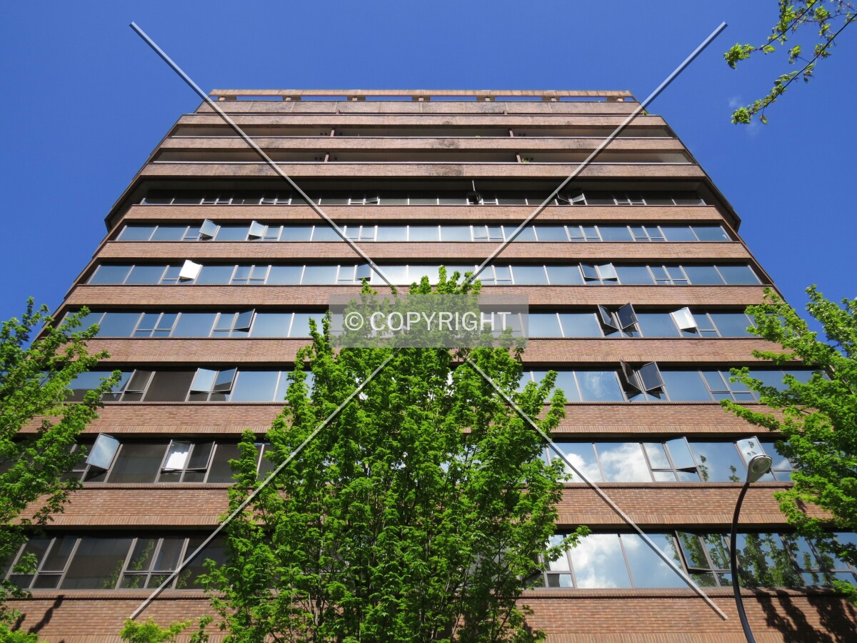 Looking up from Hornby Street