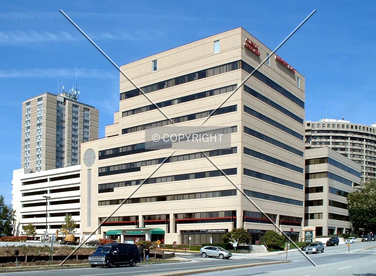 View from the southeast