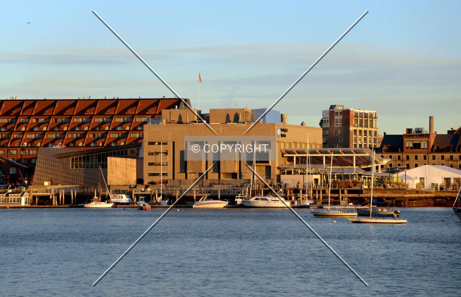 New England Aquarium