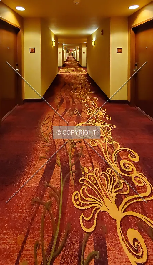 3rd floor hallway; June 19, 2020