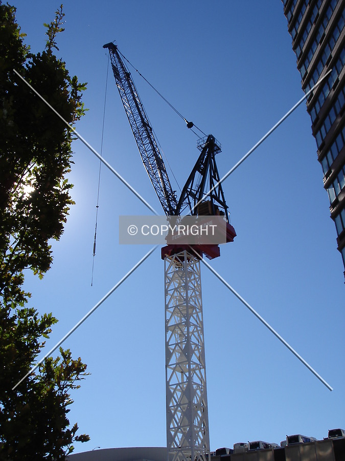 View of the crane on site