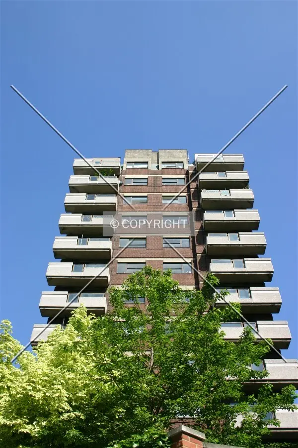 Side elevation