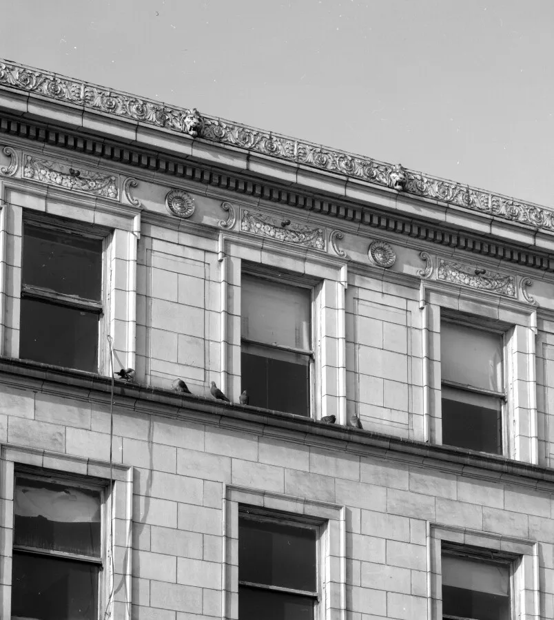 Cornice detail from the southeast