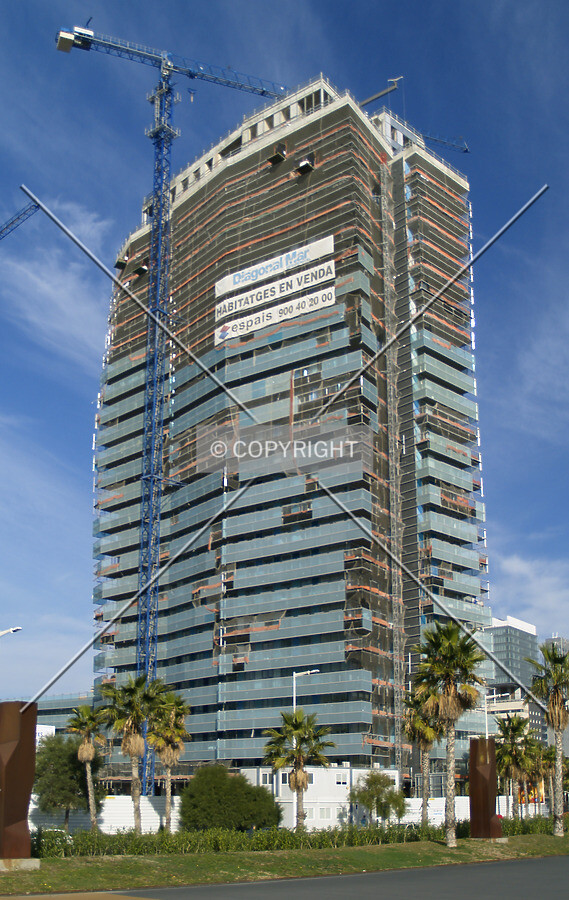 View from the south