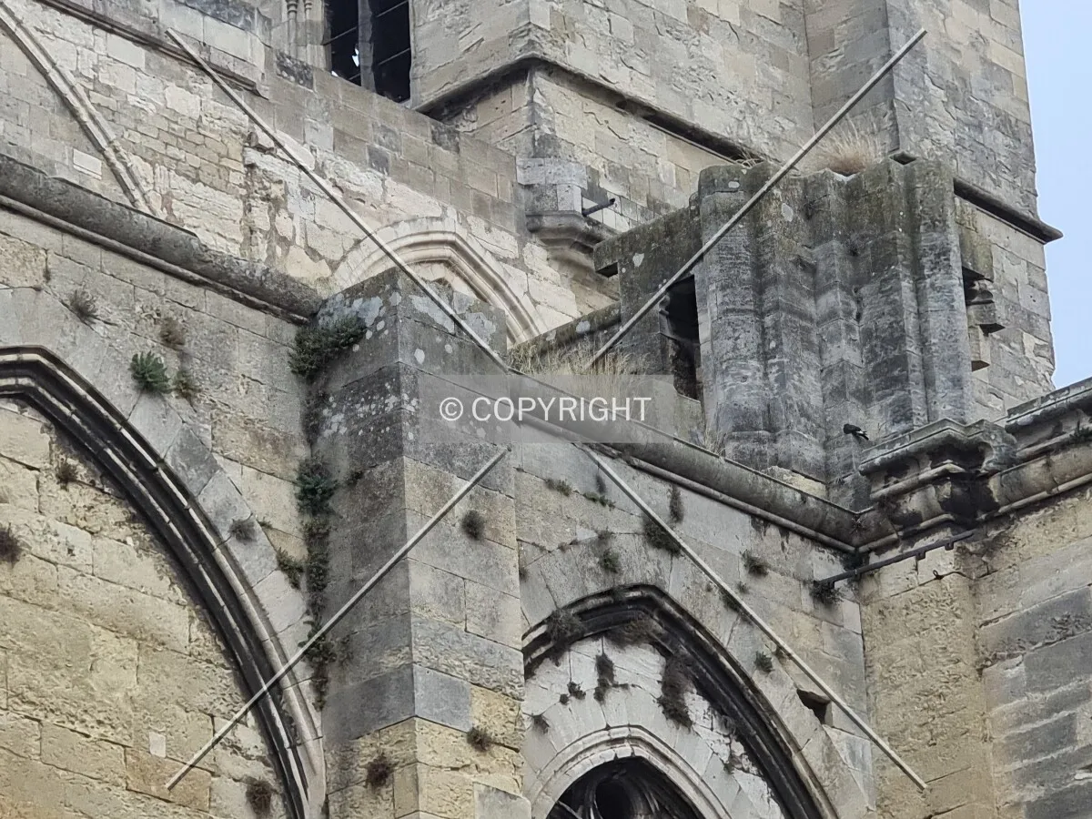 Photo 092-349-425
