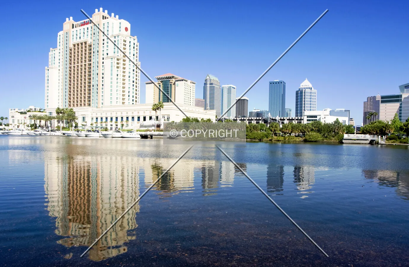Tampa, Florida, USA