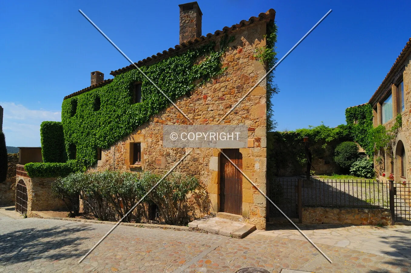 House covered by a plant