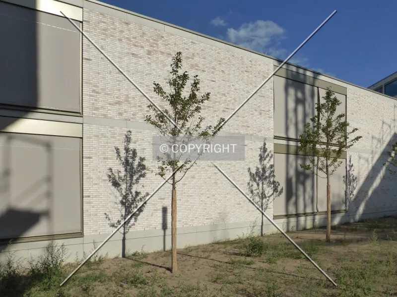 Photo 924-767-390