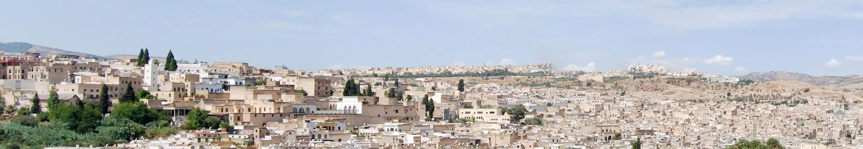 Panorama of Fes
