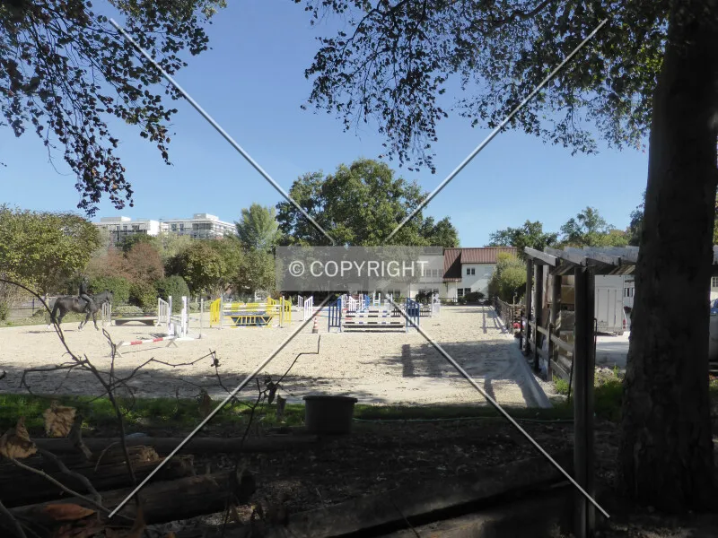 Photo 092-536-725