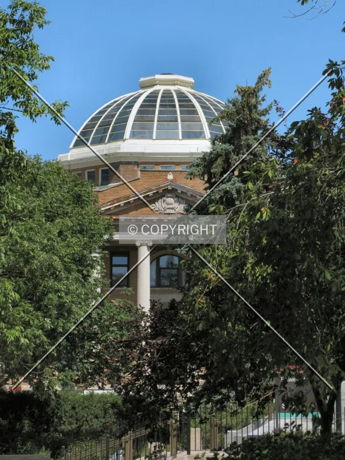 View to the north past the west entrance to Folwell Hall