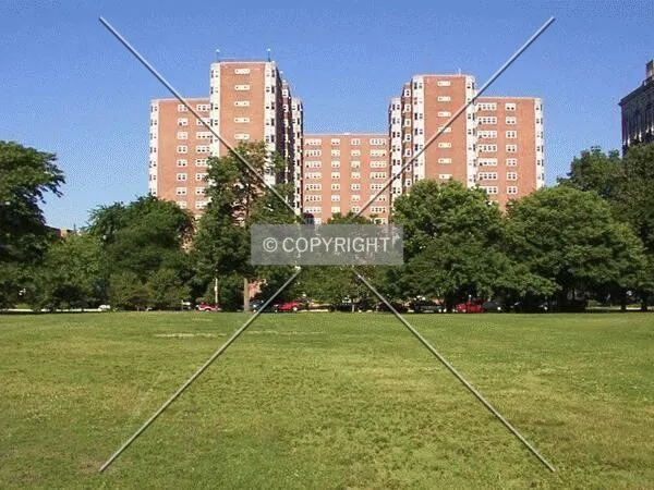 View from Lincoln Park