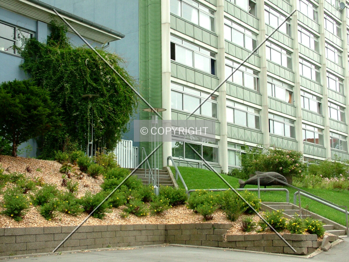 Landscaped area behind the building
