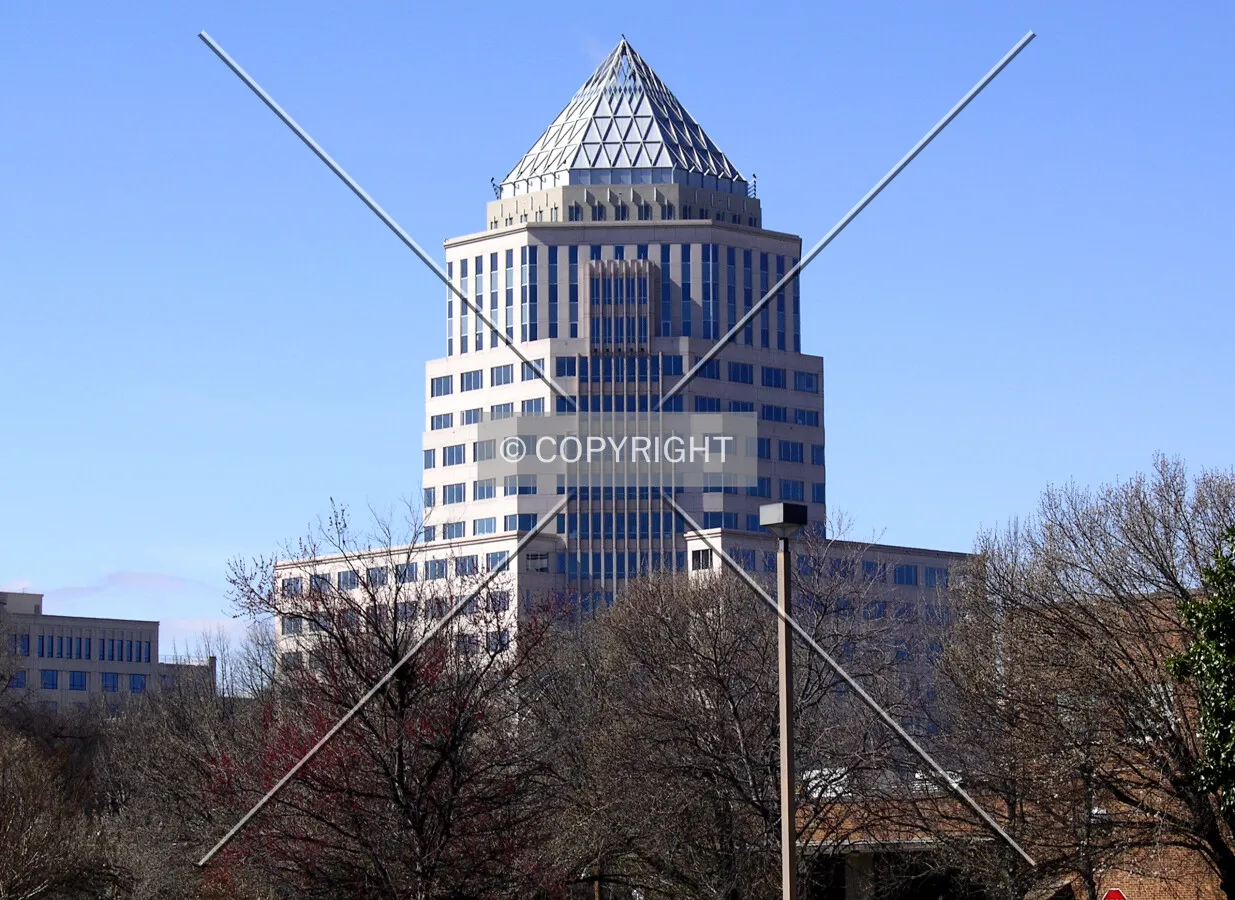 Distant view from the northeast