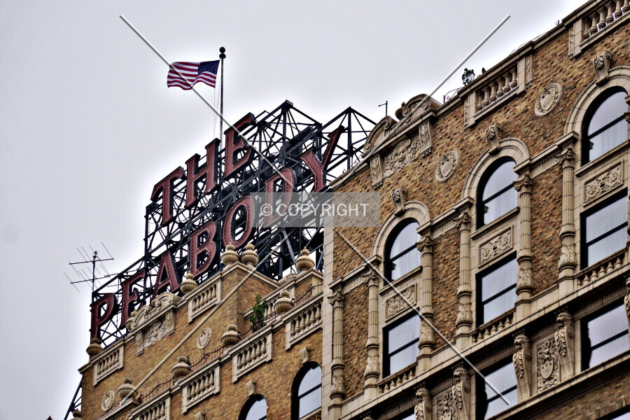 Photo 092-787-099