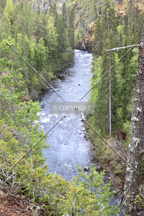 Oulanka National Park